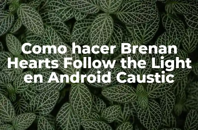 Como Hacer Brenan Hearts Follow The Light en Android Caustic