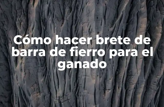 Cómo Hacer Brete de Barra de Fierro para el Ganado