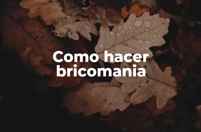 Como Hacer Bricomania
