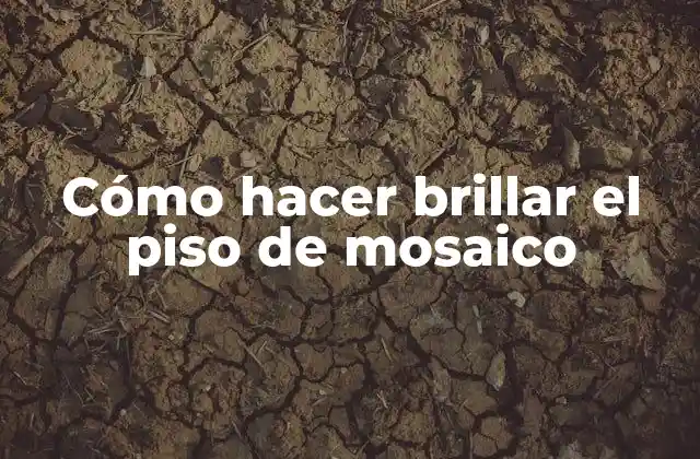 Cómo Hacer Brillar el Piso de Mosaico