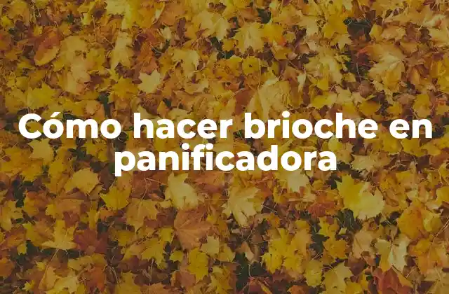 ¿Qué es el brioche y para qué sirve?