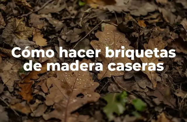 Cómo Hacer Briquetas de Madera Caseras 2 Cómo hacer briquetas de madera caseras