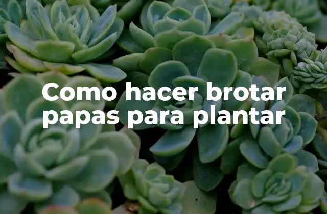 Como Hacer Brotar Papas para Plantar