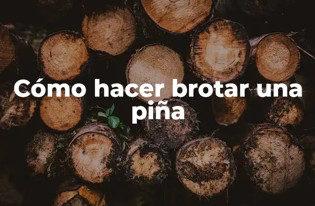 Cómo hacer brotar una piña