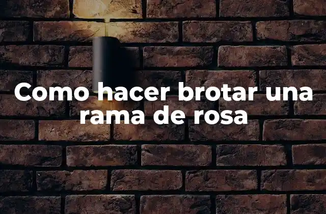 Como Hacer Brotar una Rama de Rosa