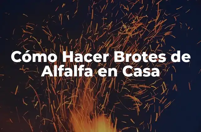 Cómo Hacer Brotes de Alfalfa en Casa