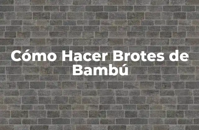 ¿Qué son los Brotes de Bambú y para qué Sirven?
