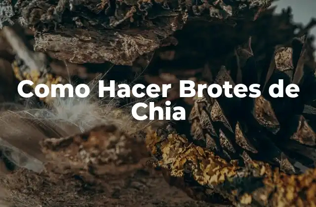 Que son los Brotes de Chia y Para Qué Sirven