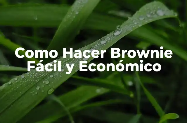 Como Hacer Brownie Fácil y Económico