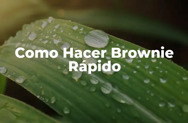 Como Hacer Brownie Rápido