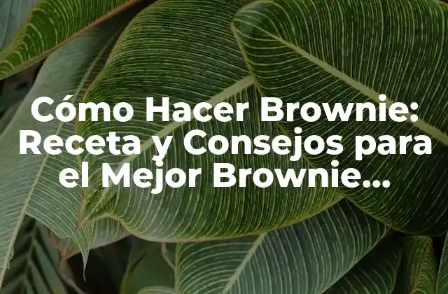 Cómo Hacer Brownie: Receta y Consejos para el Mejor Brownie Casero