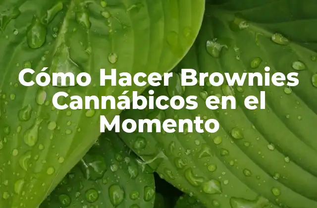 Cómo Hacer Brownies Cannábicos en el Momento