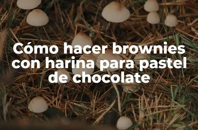 Cómo Hacer Brownies con Harina para Pastel de Chocolate