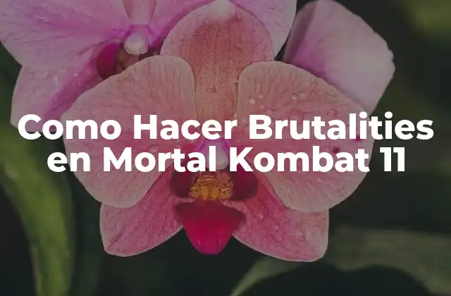 Como Hacer Brutalities en Mortal Kombat 11