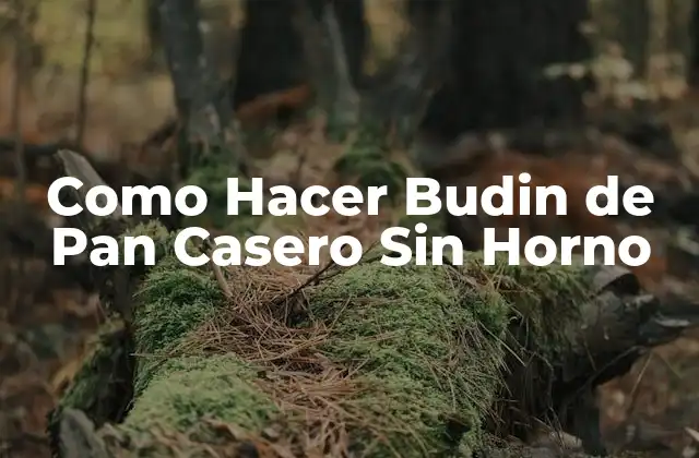Como Hacer Budin de Pan Casero sin Horno