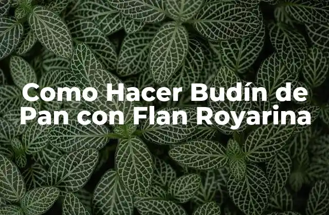 Como Hacer Budín de Pan con Flan Royarina