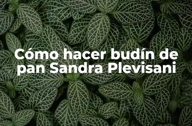 Cómo Hacer Budín de Pan Sandra Plevisani