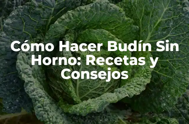 Cómo Hacer Budín sin Horno: Recetas y Consejos