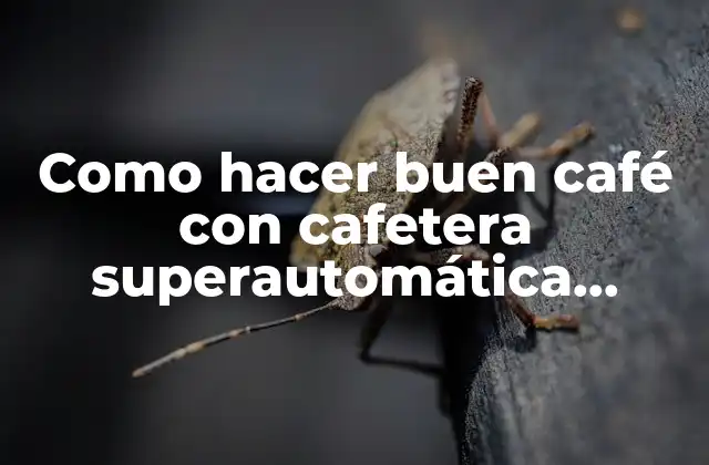 Como Hacer Buen Café con Cafetera Superautomática De'longhi 2 Como hacer buen café con cafetera superautomática De'Longhi