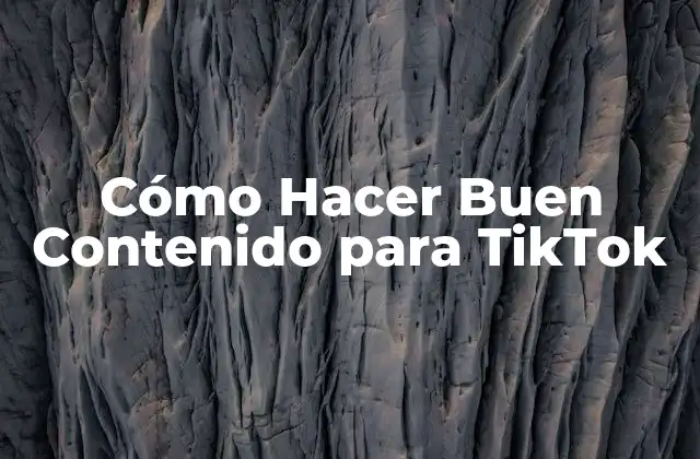 Cómo Hacer Buen Contenido para Tiktok