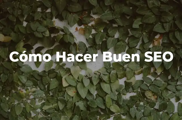 Cómo Hacer Buen Seo
