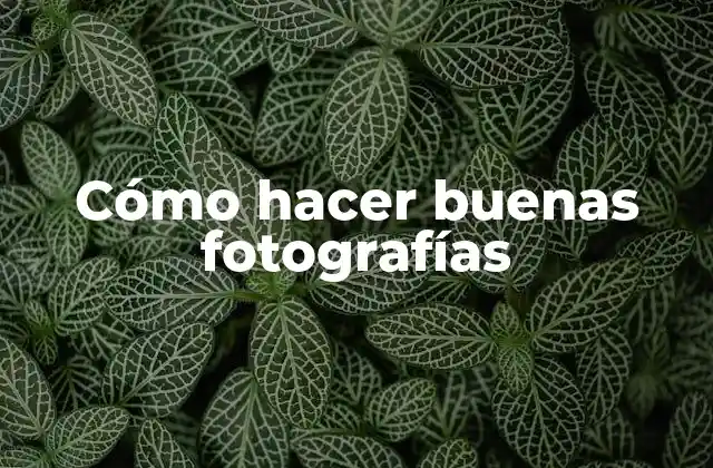 Cómo Hacer Buenas Fotografías