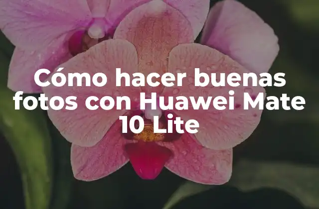 Cómo Hacer Buenas Fotos con Huawei Mate 10 Lite