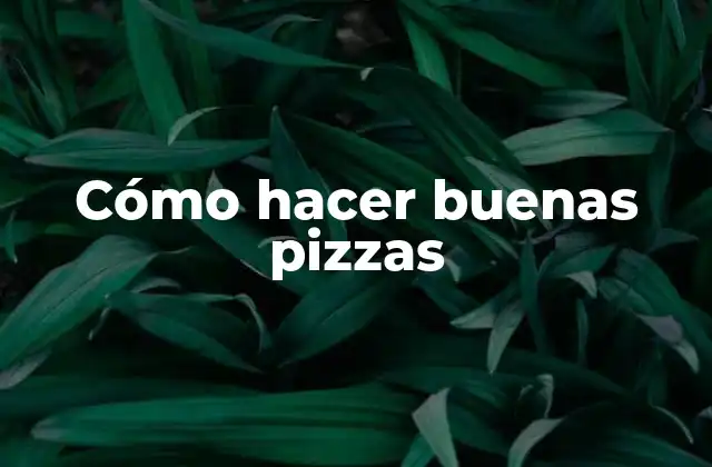 Cómo Hacer Buenas Pizzas