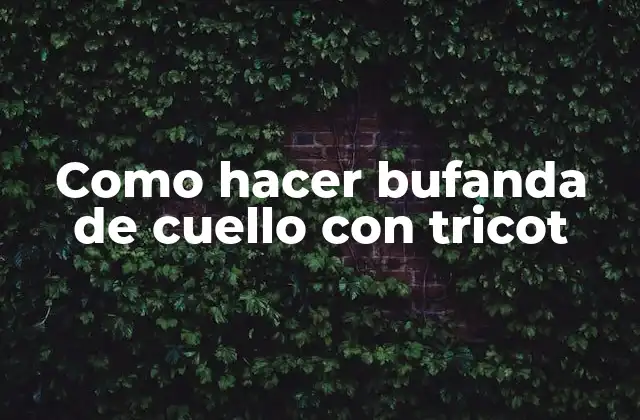 ¿Qué es una bufanda de cuello con tricot?