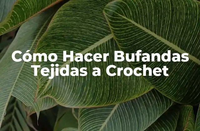 Cómo Hacer Bufandas Tejidas a Crochet