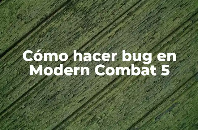 ¿Qué es un bug en Modern Combat 5?
