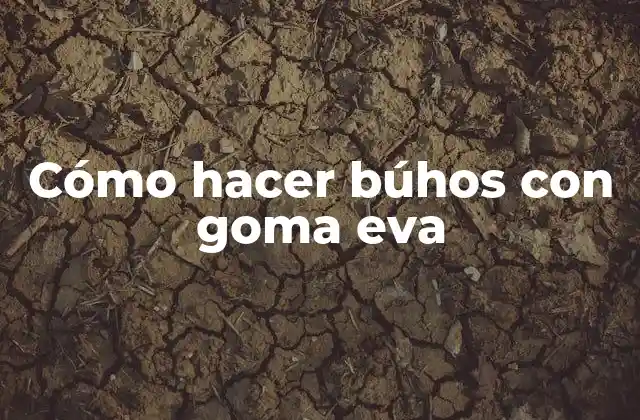 Cómo Hacer Búhos con Goma Eva
