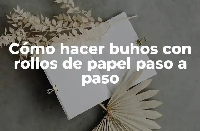 ¿Qué son los buhos de papel?