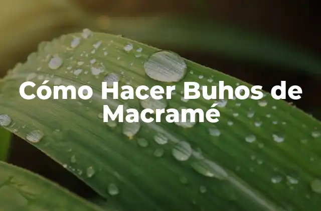 Cómo Hacer Buhos de Macramé