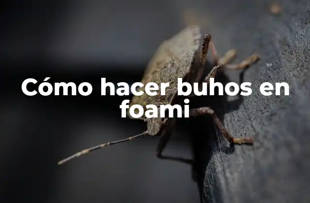 Cómo Hacer Buhos en Foami