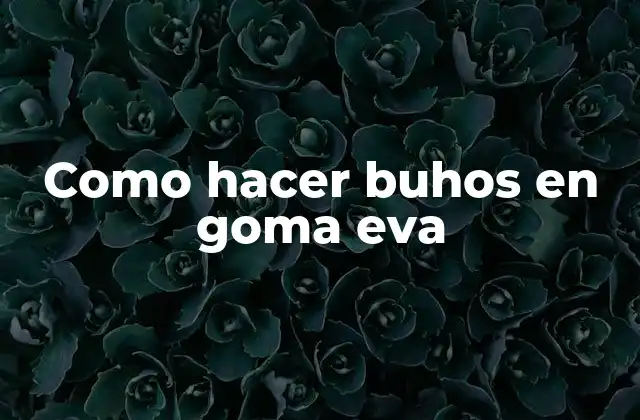Como Hacer Buhos en Goma Eva