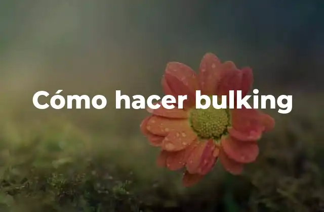 Cómo Hacer Bulking