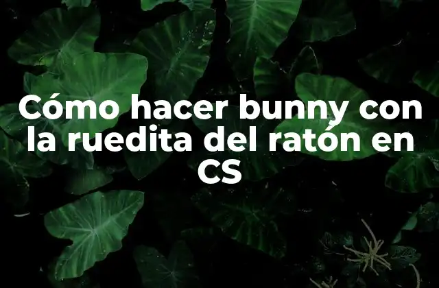 Cómo Hacer Bunny con la Ruedita Del Ratón en Cs