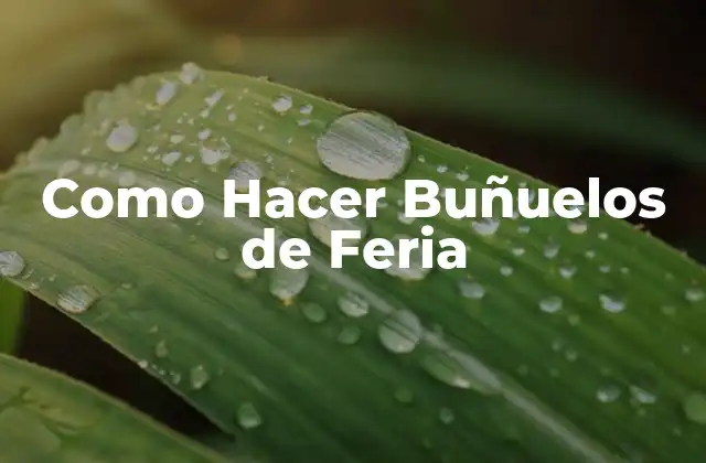 Como Hacer Buñuelos de Feria 2 ¿Qué son los Buñuelos de Feria?
