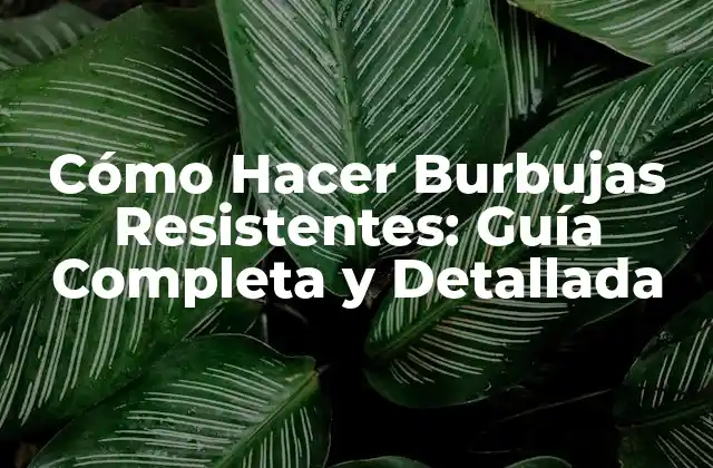 Cómo Hacer Burbujas Resistentes: Guía Completa y Detallada 2 ¿Qué son las Burbujas Resistentes?