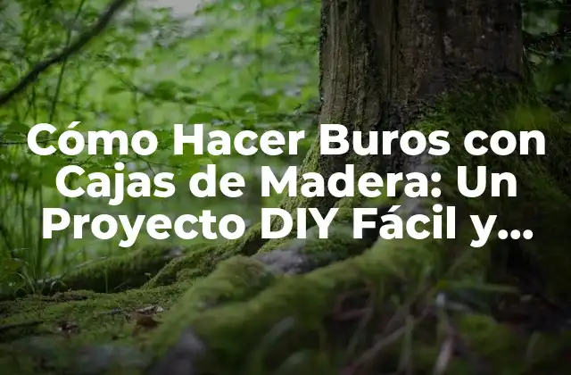 Cómo Hacer Buros con Cajas de Madera: un Proyecto Diy Fácil y Ecológico