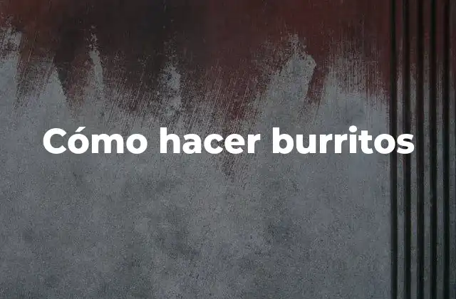 ¿Qué es un burrito y para qué sirve?