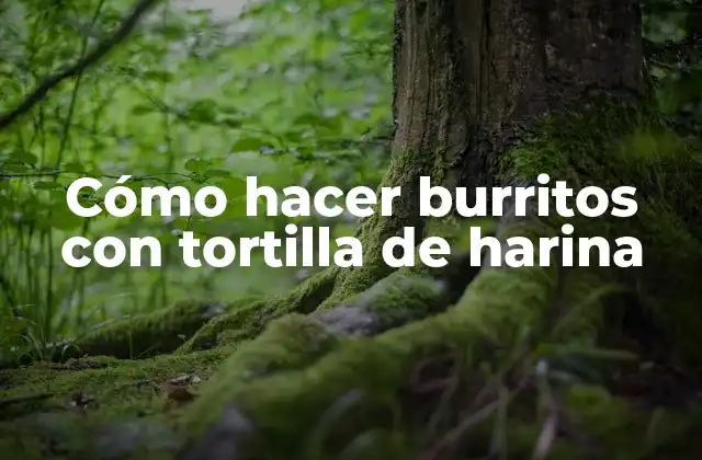Cómo hacer burritos con tortilla de harina