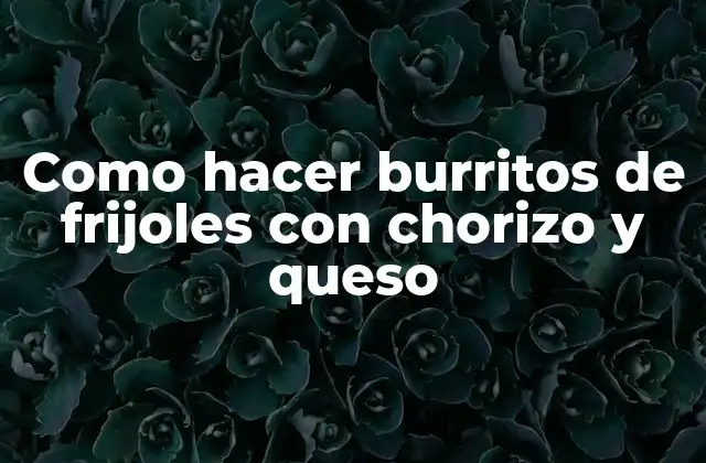 Como Hacer Burritos de Frijoles con Chorizo y Queso 2 ¿Qué son los burritos de frijoles con chorizo y queso?