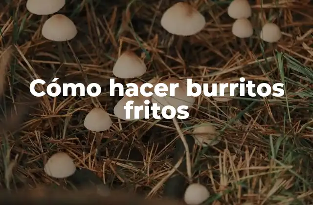¿Qué son los burritos fritos?