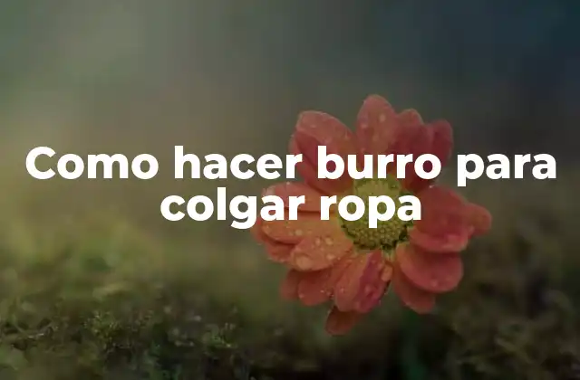 Como Hacer Burro para Colgar Ropa