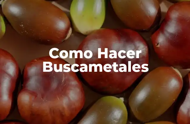 Como Hacer Buscametales