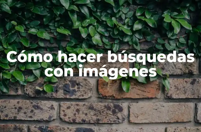 Cómo Hacer Búsquedas con Imágenes