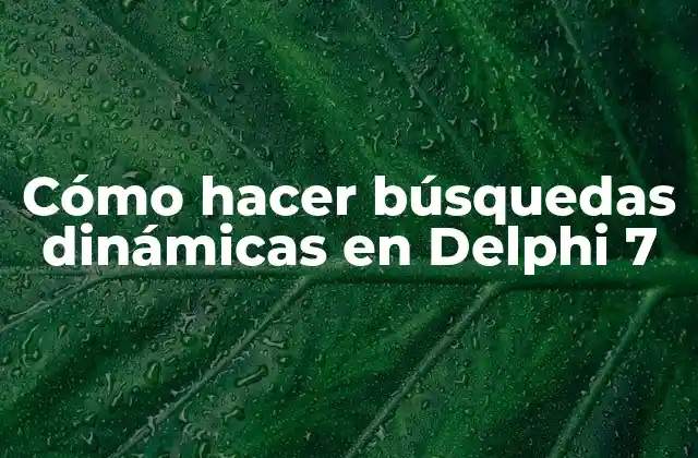 ¿Qué es una búsqueda dinámica en Delphi 7?
