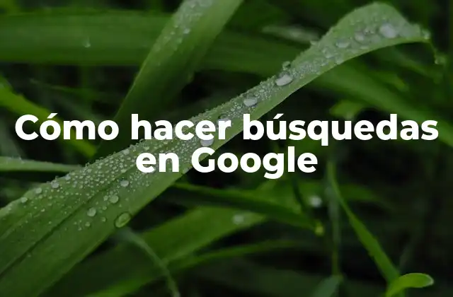 Cómo Hacer Búsquedas en Google